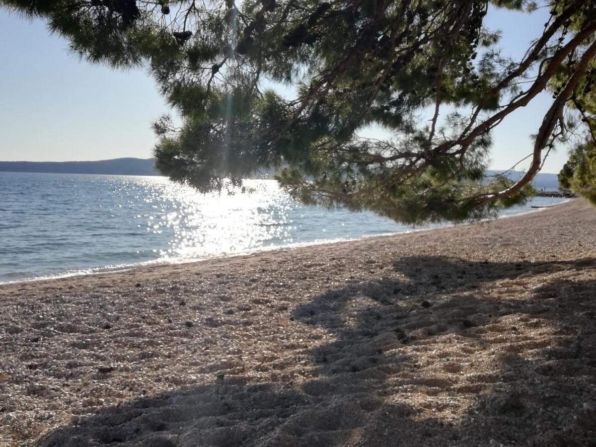 ברלה Sea Paradise מראה חיצוני תמונה